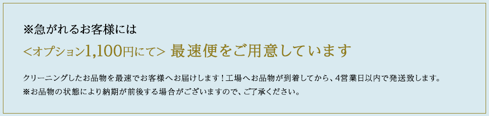 オプション1100円にて最速便をご用意しています