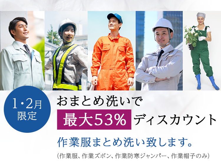 1.2月限定/おまとめ洗いで 最大53% ディスカウント