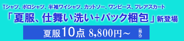 正直な夏服仕舞い洗い