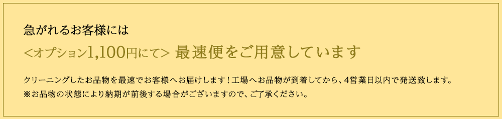 オプション1100円にて最速便をご用意しています