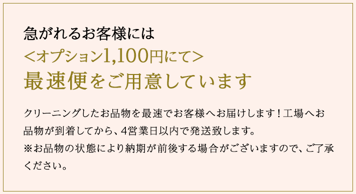 オプション1100円にて最速便をご用意しています