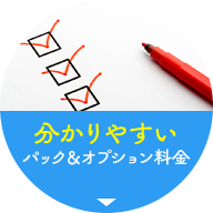 分かりやすいパック＆オプション料金